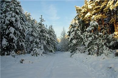 《咩咩启示录》新预告公布 8月11日正式发售