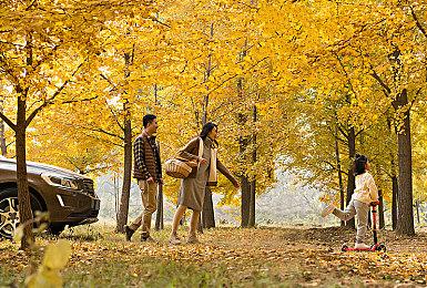 《街头霸王6》正式公布新角色宣传片：金佰莉和韩蛛俐