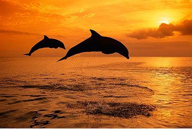 《赛博朋克2077》资料片“往日之影”需要空间33GB